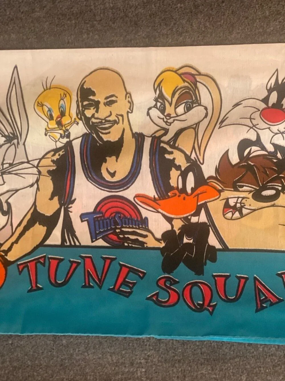 VTG Warner Bros Space Jam Standard Pillow Case Tune Squad Monsters Basketball